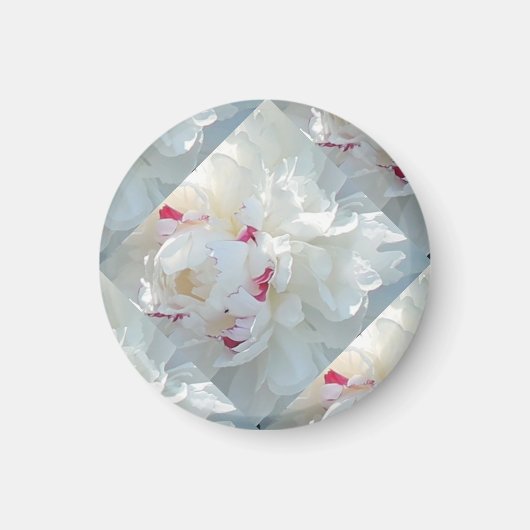 Romantisches Multi Peony Magnet (Vorne)
