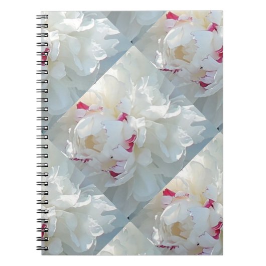 Romantisches Multi Peony Notebook Notizblock (Vorderseite)