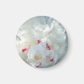 Romantisches Peony Magnet (Vorne)