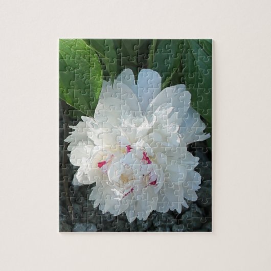 Romantisches Peony Puzzle (Vertikal)