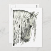 Romantisches Pferd Postkarte (Vorne/Hinten)