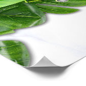 Romantisches Poster mit tropischen Speisen (Ecke)