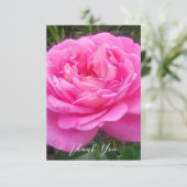 Romantisches Rosa "Leonardo Da Vinci" Dankeskarte (Stehend Vorderseite)