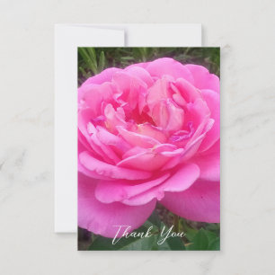 Romantisches Rosa "Leonardo Da Vinci" Dankeskarte