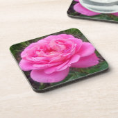 Romantisches Rosa "Leonardo Da Vinci" Getränkeuntersetzer (Linke Seite)