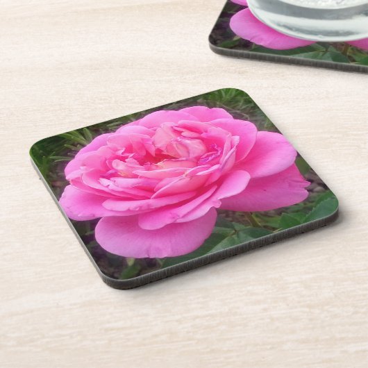 Romantisches Rosa "Leonardo Da Vinci" Getränkeuntersetzer (Linke Seite)