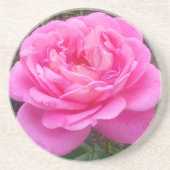Romantisches Rosa "Leonardo Da Vinci" Getränkeuntersetzer (Vorne)