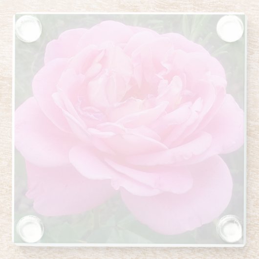 Romantisches Rosa "Leonardo Da Vinci" Glasuntersetzer (Rückseite)