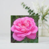 Romantisches Rosa "Leonardo Da Vinci" Karte (Stehend Vorderseite)