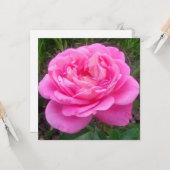 Romantisches Rosa "Leonardo Da Vinci" Karte (Vorderseite/Rückseite Beispiel)