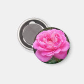 Romantisches Rosa "Leonardo Da Vinci" Magnet (Vorderseite/Rückseite)