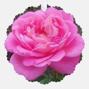 Romantisches Rosa "Leonardo Da Vinci" Ornament Karte