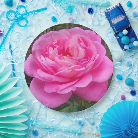 Romantisches Rosa "Leonardo Da Vinci" Pappteller (Party)