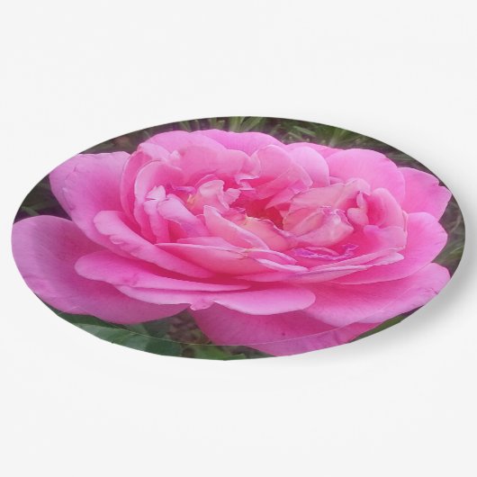 Romantisches Rosa "Leonardo Da Vinci" Pappteller (Schrägansicht)