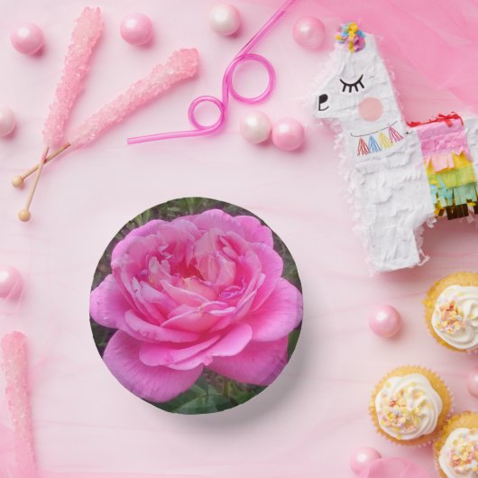 Romantisches Rosa "Leonardo Da Vinci" Pappteller (Party)