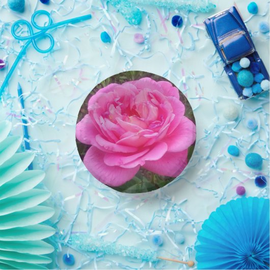 Romantisches Rosa "Leonardo Da Vinci" Pappteller (Party)