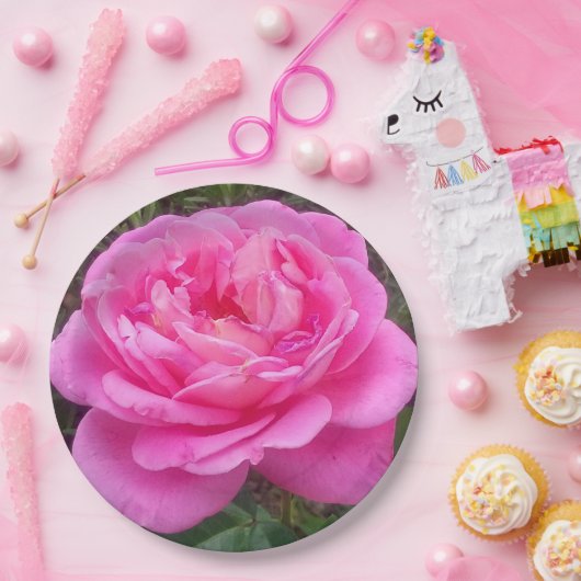 Romantisches Rosa "Leonardo Da Vinci" Pappteller (Party)