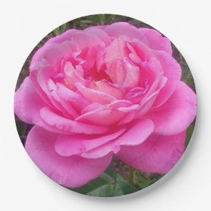 Romantisches Rosa "Leonardo Da Vinci" Pappteller