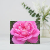Romantisches Rosa "Leonardo Da Vinci" Postkarte (Stehend Vorderseite)