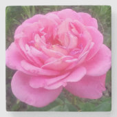 Romantisches Rosa "Leonardo Da Vinci" Steinuntersetzer (Vorderseite)