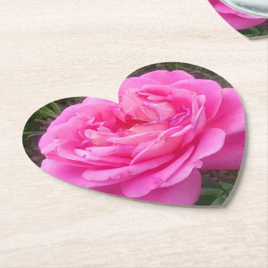 Romantisches Rosa "Leonardo Da Vinci" Untersetzer (angewinkelt)