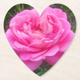 Romantisches Rosa "Leonardo Da Vinci" Untersetzer