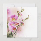 Romantisches Rosa-Orchideen-Brautparty Einladung (Rückseite)
