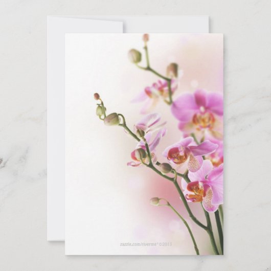 Romantisches Rosa Orchideen - Ihre Veranstaltung Einladung (Rückseite)