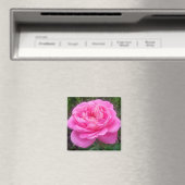 Romantisches Rosenmagazin "Leonardo Da Vinci" Magnet (In Situ (Geschirrspüler))
