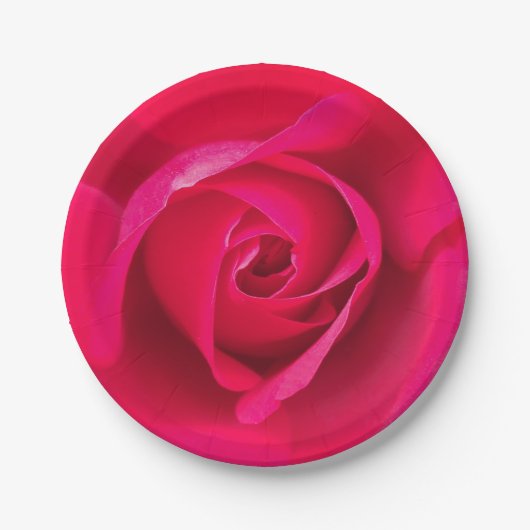Romantisches Rot Pinke Rose v2 Pappteller (Vorderseite)