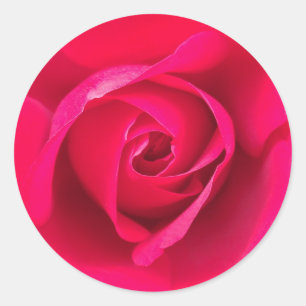 Romantisches Rot Pinke Rose v2 Runder Aufkleber