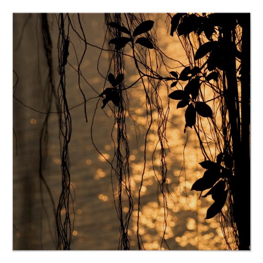 Romantisches Sunset Poster (Vorderseite)
