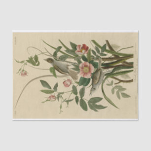 Romantisches Vintages Vogel-und Rosen-Seidenpapier Seidenpapier