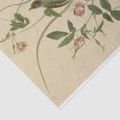 Romantisches Vintages Vogel-und Rosen-Seidenpapier Seidenpapier (Ausschnitt)