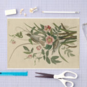 Romantisches Vintages Vogel-und Rosen-Seidenpapier Seidenpapier (Handwerk)