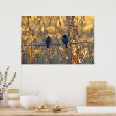 Romantisches Vogelpaar, bis zu 36"x24" Foto Poster (Küche)