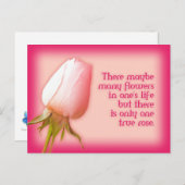 Romantisches Zitat nur eine Rose Postkarte (Vorne/Hinten)