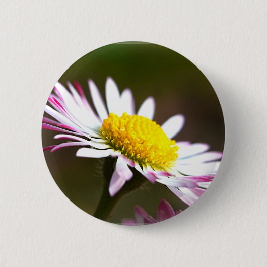 Romanze romantisches Braut der schönen Button (Vorderseite)