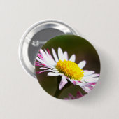 Romanze romantisches Braut der schönen Button (Vorne & Hinten)
