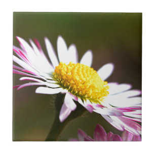 Romanze romantisches Braut der schönen Fliese