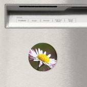 Romanze romantisches Braut der schönen Magnet (In Situ (Geschirrspüler))
