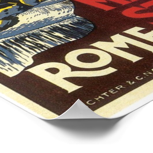 Rome Trevi Fountain Poster (Ecke)