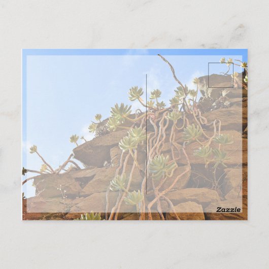 Rome Wasn't Built in a Day Postcard Postkarte (Rückseite)