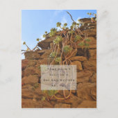 Rome Wasn't Built in a Day Postcard Postkarte (Vorderseite)