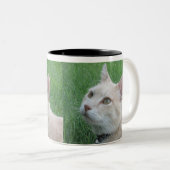 Romeo Die Cat Coffee Tasse (VorderseiteRechts)