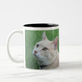 Romeo Die Cat Coffee Tasse