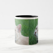 Romeo Die Cat Coffee Tasse (Mittel)