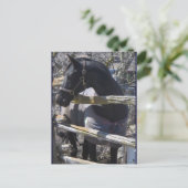 Romeo Foto Postkarte (Stehend Vorderseite)