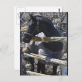 Romeo Foto Postkarte (Vorne/Hinten)