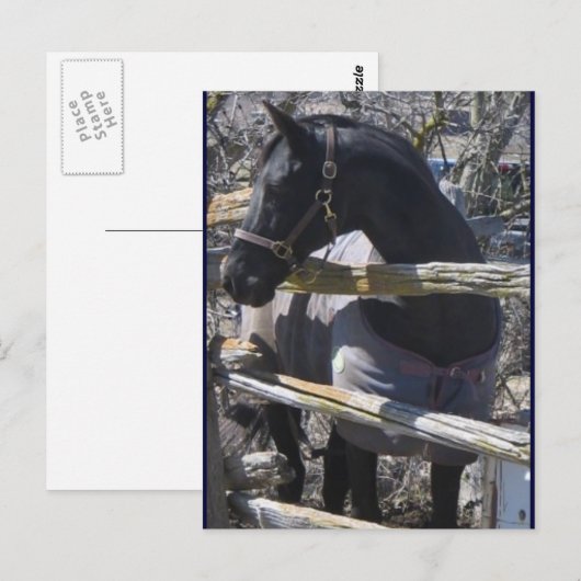 Romeo Foto Postkarte (Vorne/Hinten)